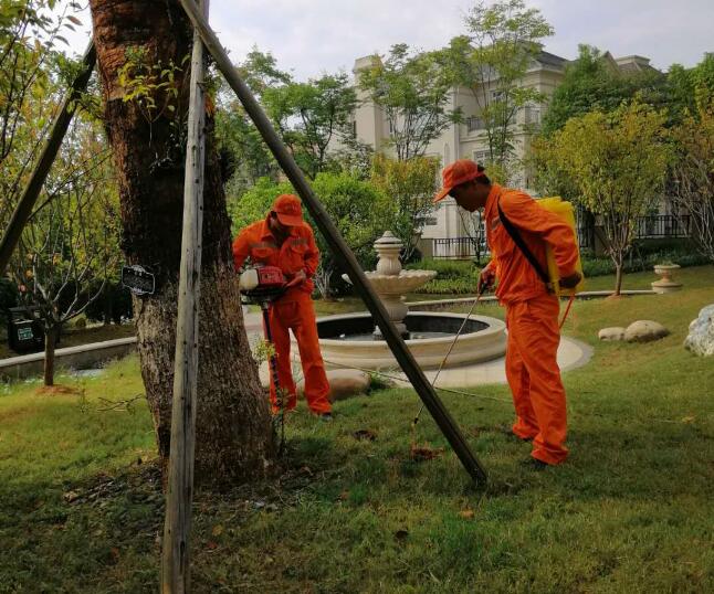 白蟻入(rù)侵的危害與早期識別 白蟻入侵的危害(hài)與早期識別