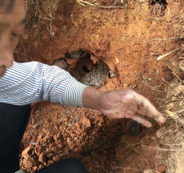 關於舉辦白蟻(yǐ)防治行業從業人員職業培訓班的通知(zhī) 關於舉辦白蟻防治行業從業(yè)人(rén)員職業培訓班的通知