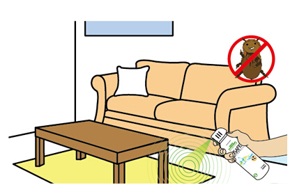 跳蚤防治 跳蚤防治