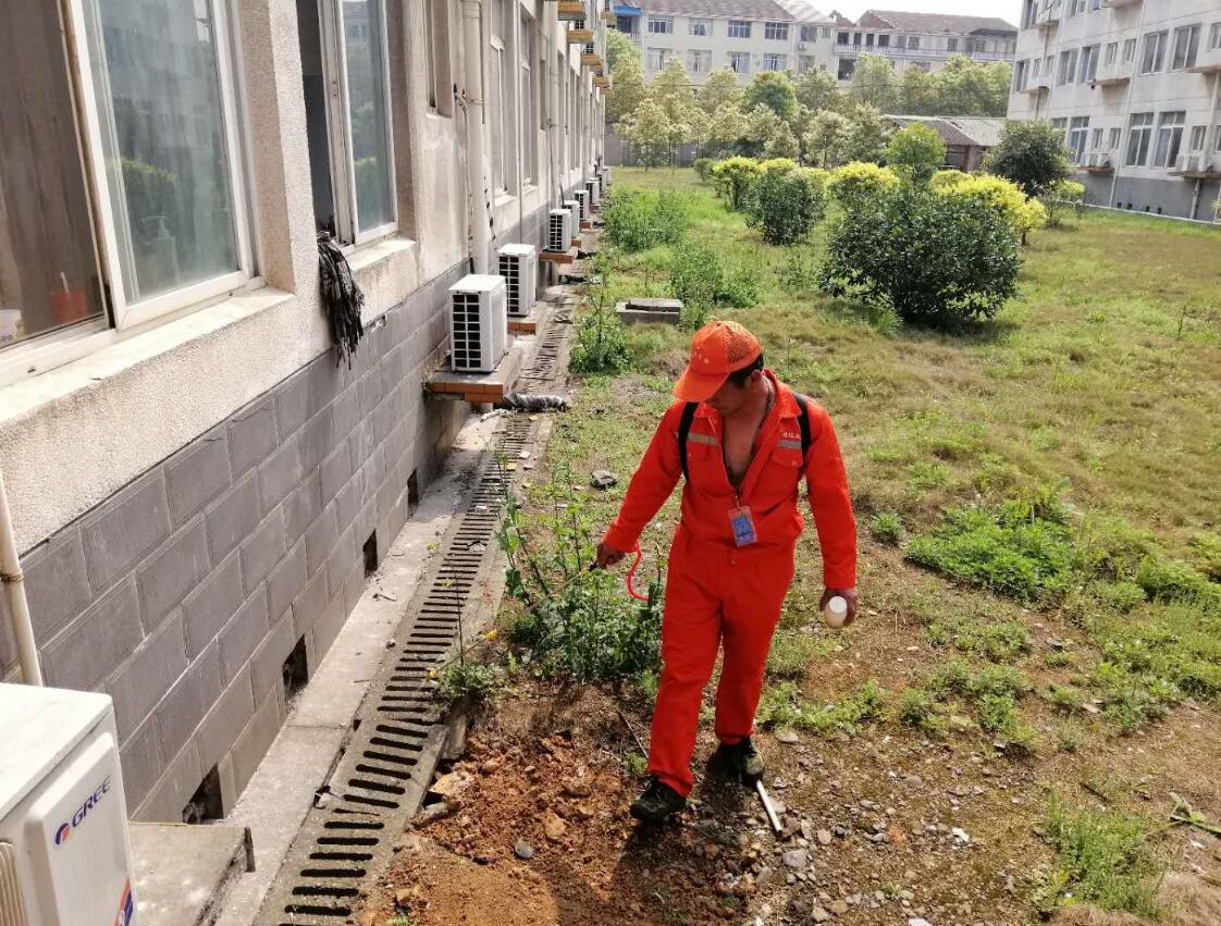 白蟻防治實景圖 白蟻防治實景圖