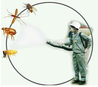 臭蟲防治 臭蟲防治