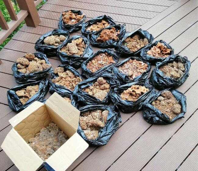 如何知道家裏有沒有白蟻?如何預防或消滅白蟻? 如何(hé)知道家裏有沒有白蟻?如何預防或消滅白(bái)蟻?