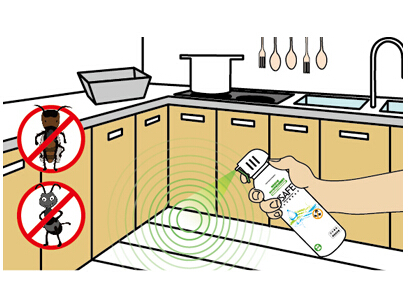 蟑螂防治 蟑(zhāng)螂防治