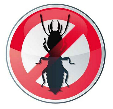 跳蚤防治 跳蚤防治