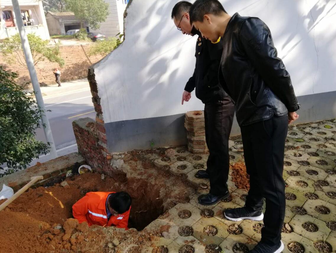 白蟻防治實景圖 白蟻防治實景圖