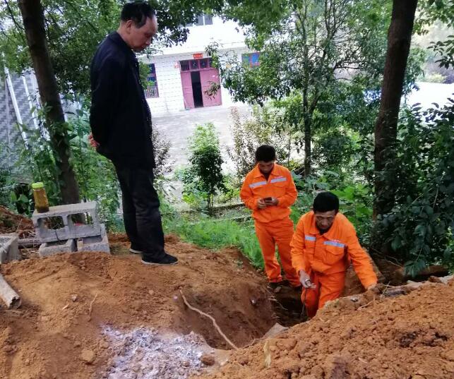 白蟻防治實景圖 白蟻防治實景圖(tú)