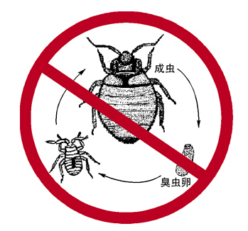 臭蟲防治(zhì) 臭蟲防治